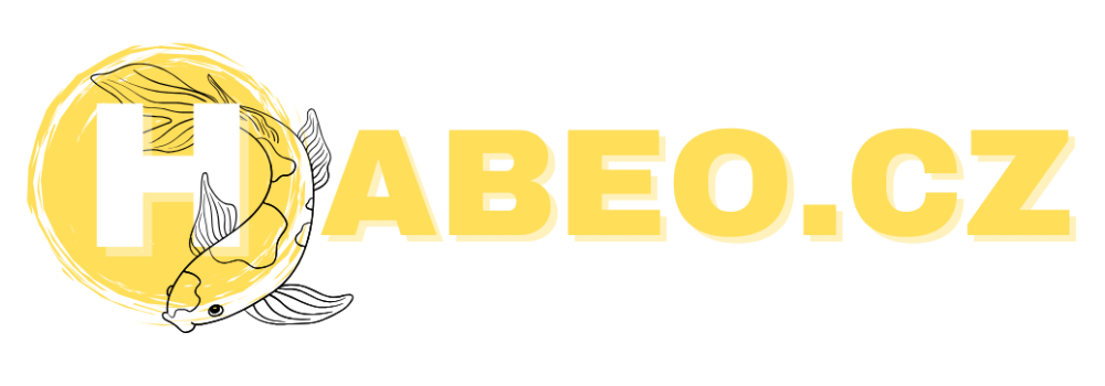 Návrh bez názvu (10)
